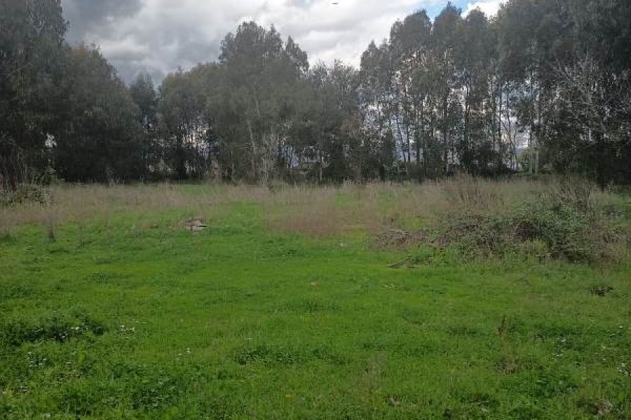 Terreno In Locazione, Anguillara Sabazia > Vigna di Valle [Lungolago]