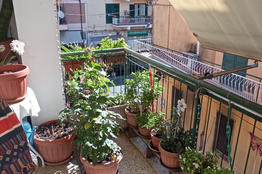 Abitativo - Appartamento In Vendita, Trevignano Romano > Centrale
