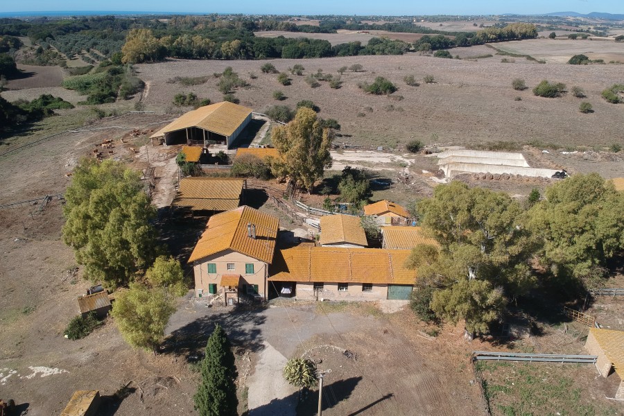 Attività Commerciale In Vendita, Fiumicino